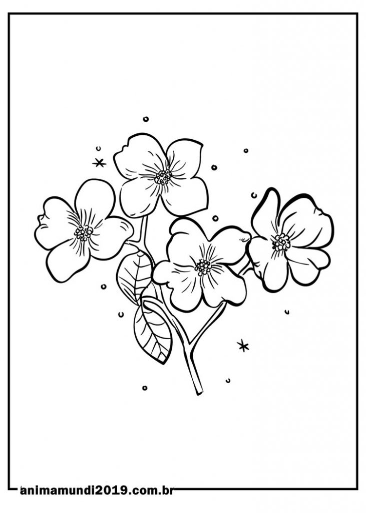 desenhos de flores